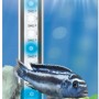 Sera Aquarium LED-Leuchte Cool Daylight 660, bläuliches Tageslicht für Aquarien.