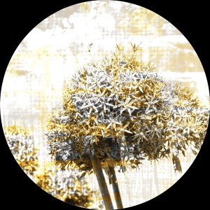 Selbstklebende, runde Tapete mit Blumen in Gelb und Grau, Durchmesser 70 cm.