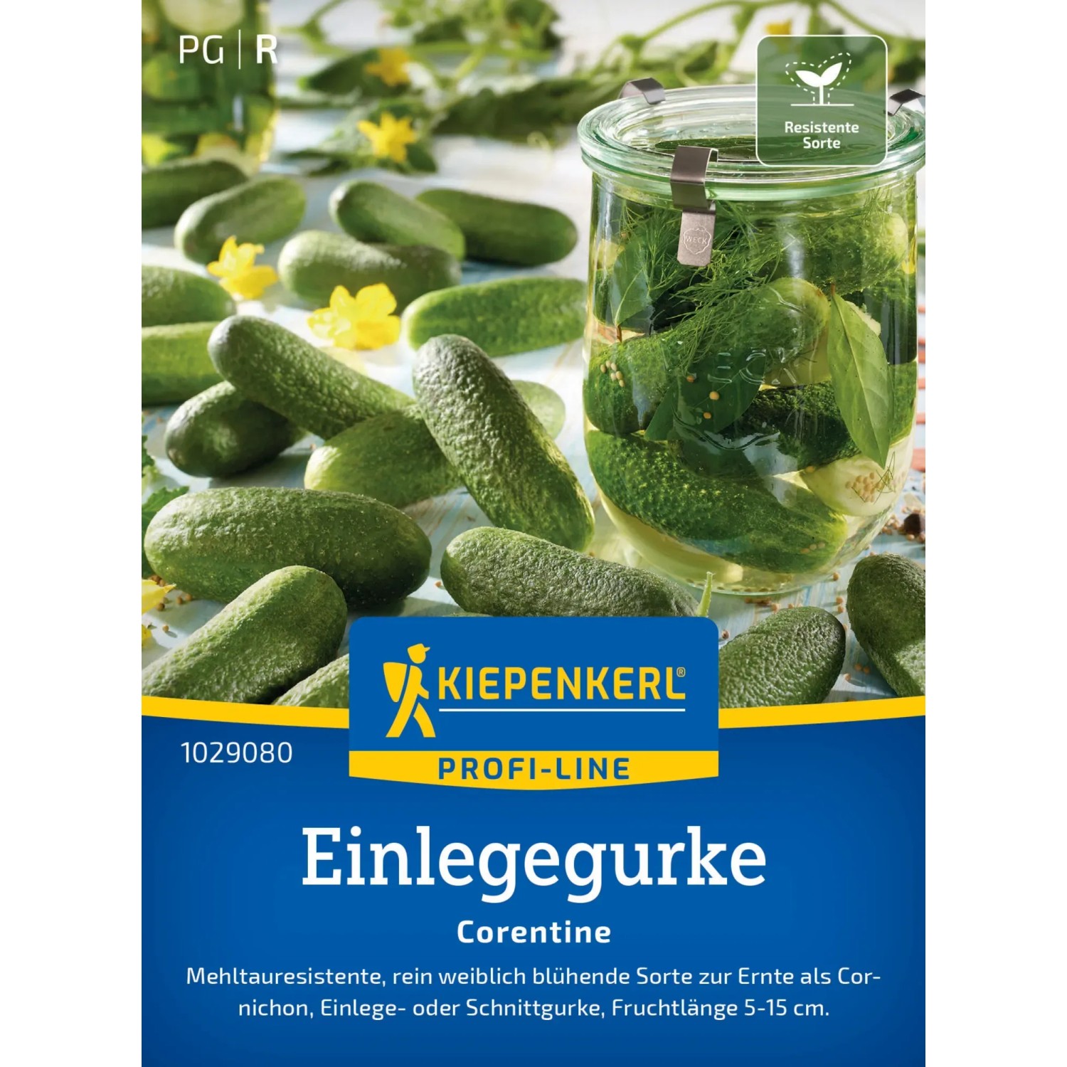 Kiepenkerl Einlegegurken Corentine, grüne Gurken und Einmachglas. Gemüsesamen für knackige Gurken.