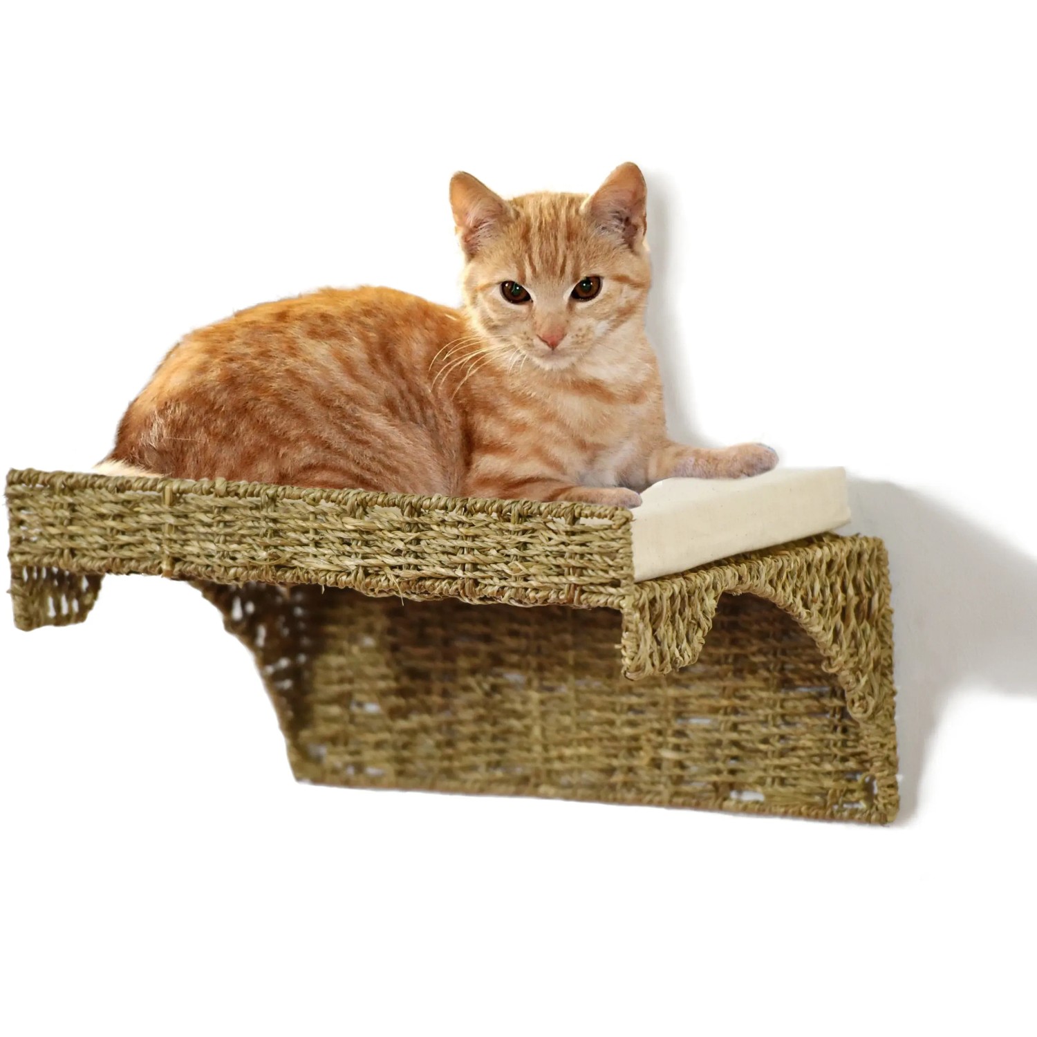 Katze liegt auf Wandliege Seegras Natur von Silvio Design. Kratzbrett mit Kissen zur Wandmontage.