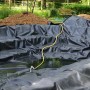 Schwarze Aquagart Teichfolie (3x6m) aus PVC im Gartenteich. Reißfest, flexibel und UV-stabil.