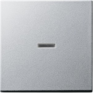 Gira Kontroll-Wippe System 55 aus Aluminium, Schalterwippe mit Kontrollfenster.