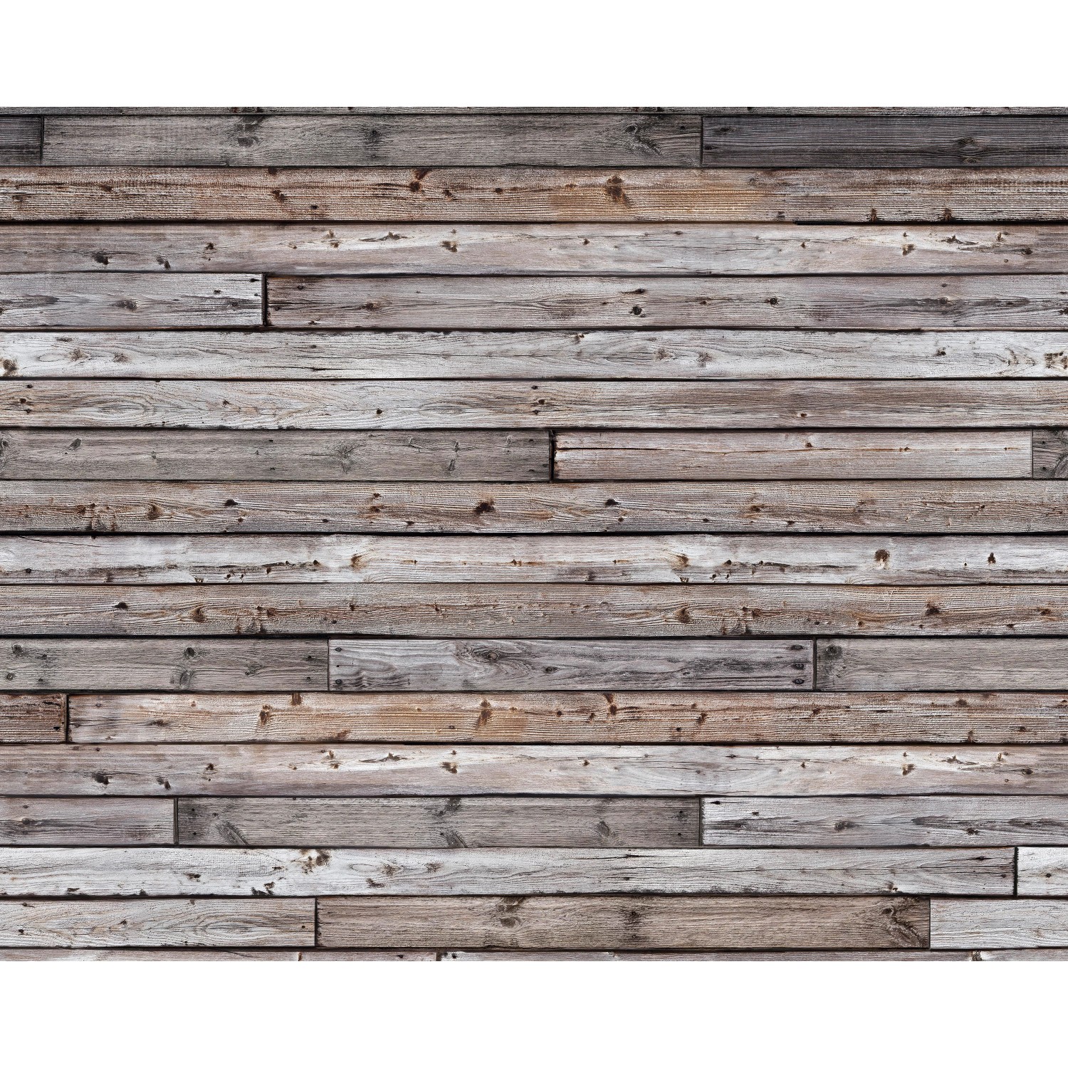 Holzwand kaufen bei OBI