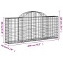vidaXL Gabionen mit Hochbogen, 25 Stk., 200x30x80/100cm, aus verzinktem Eisen. Ideal als Hochbeet.