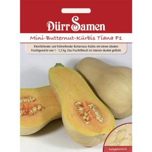 Dürr Samen Mini-Butternut-Kürbis Tiana F1 Saatgut Packung mit angeschnittenem Kürbis.