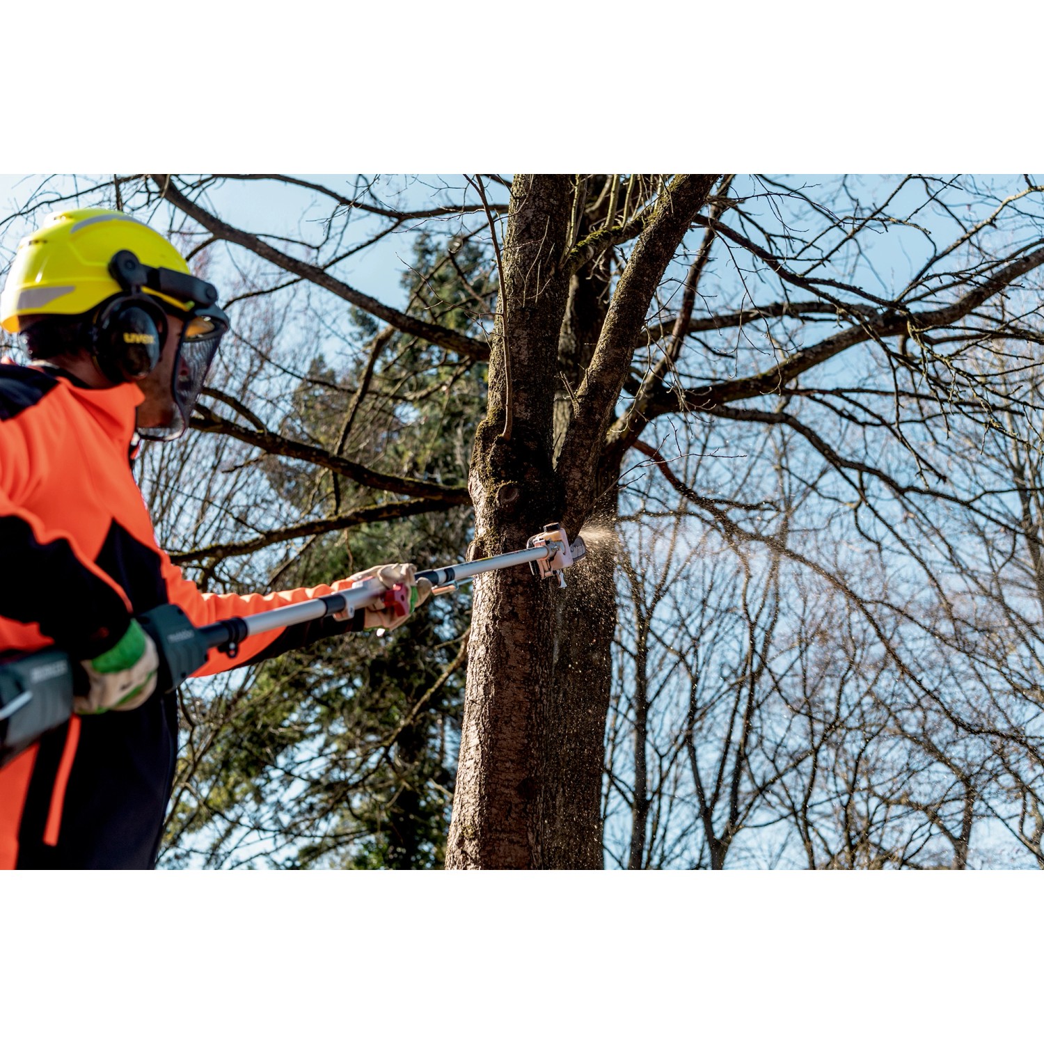 Mann sägt Ast mit Metabo Hochentaster-Aufsatz MA-MS 25. Akku-Heckenschere im Einsatz.