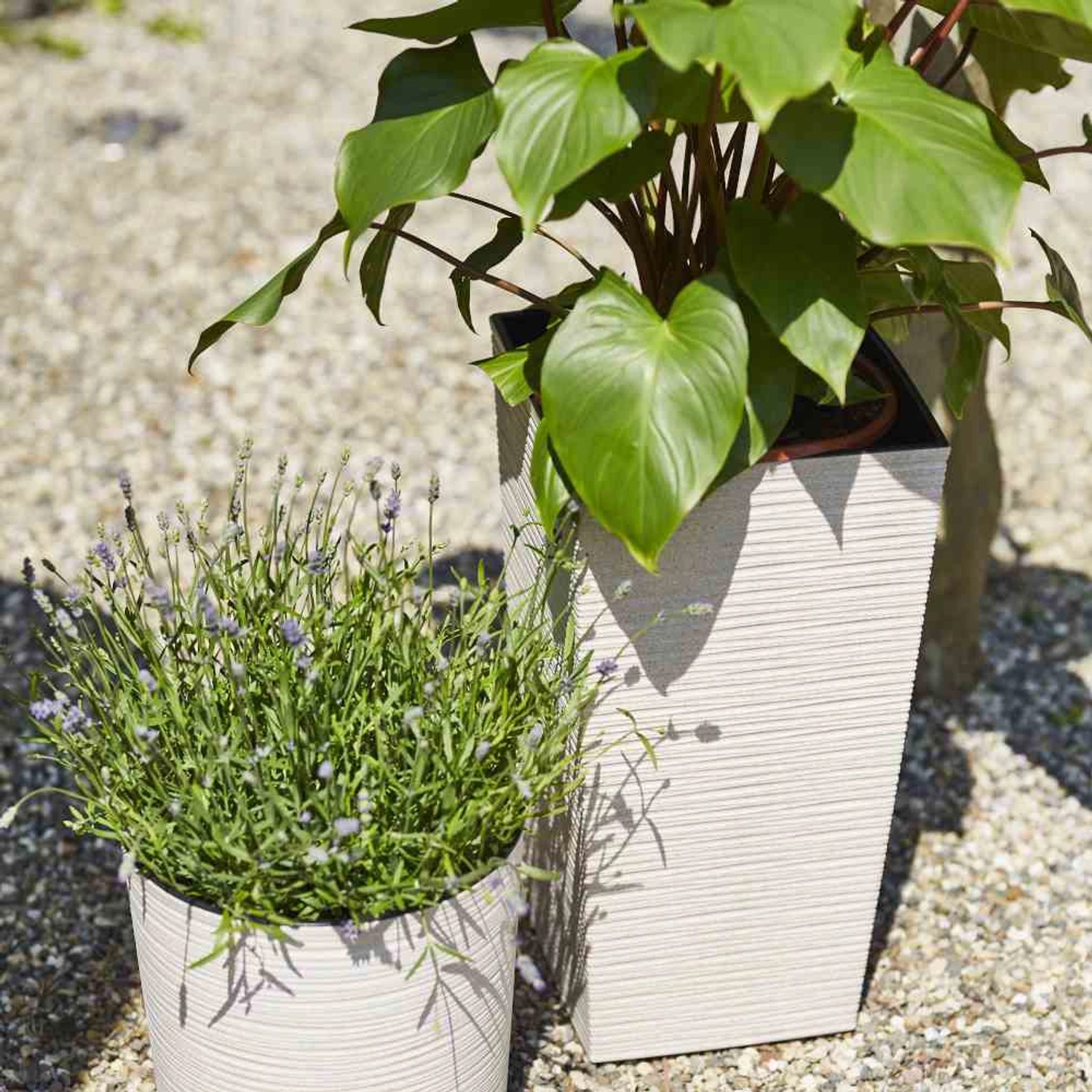 Weißes Siena Garden Pflanzgefäß Eco Nizza, 25x25x46,5 cm, mit Rillenstruktur und Bepflanzung.