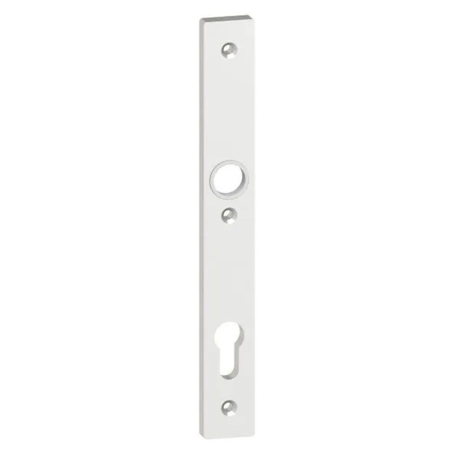 FeNau Alu-Zylinderlangschild Maße 30x245x10 mm Form Vierkant Aluminium EV1