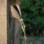 Detailaufnahme: Wasser fließt aus dem Dobar Design Gartenbrunnen XL Kaskade in Steinoptik.