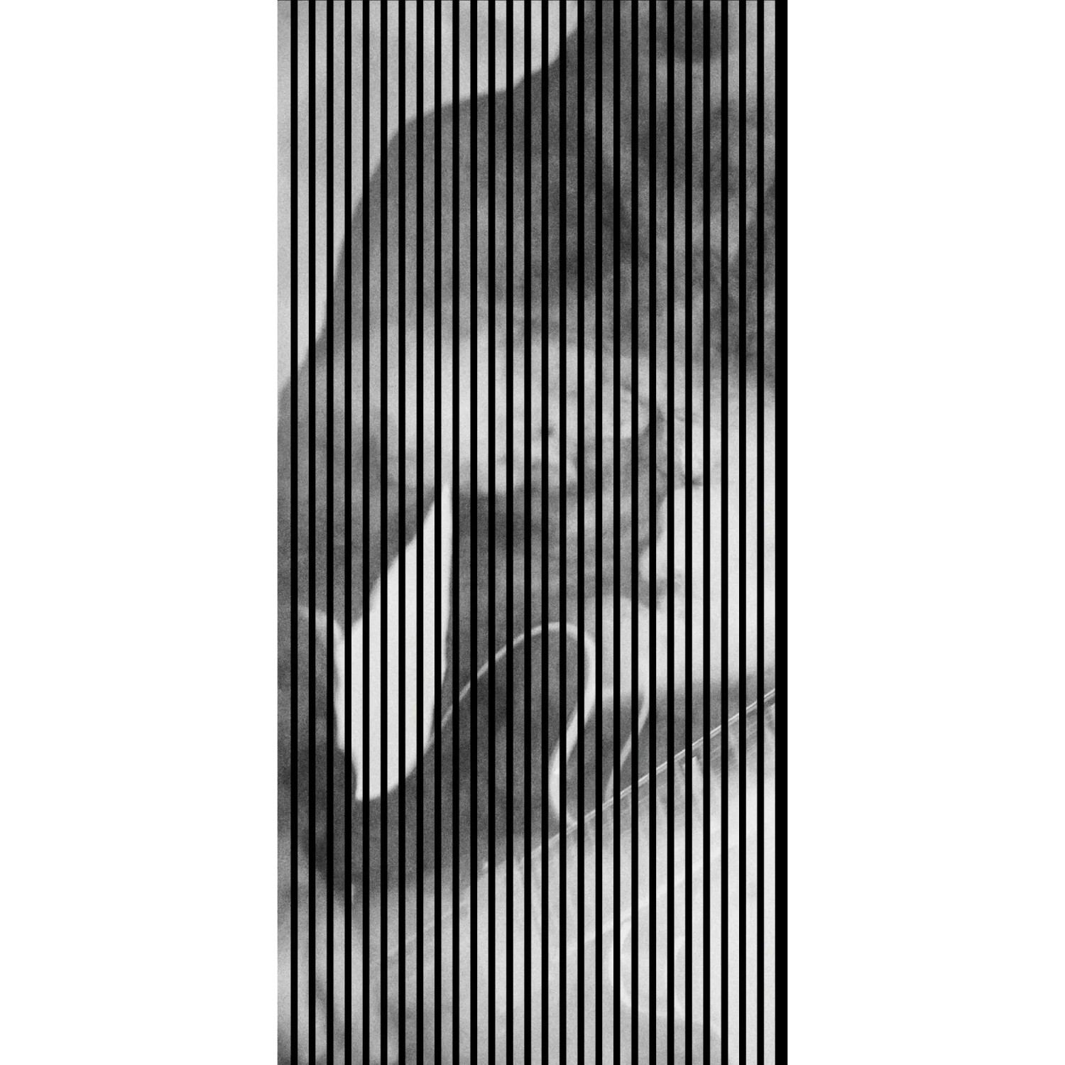 FN Acustico Akustikplatte Riff 2 PET u. MDF Foliert 1.133 x 19 x 2.400 mm