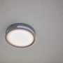 Moderne Lutec LED-Außenwandleuchte Rola in Anthrazit, runde Form, warmweißes Licht.
