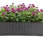 BigDean 3er Set Blumenkasten Mit Untersetzer 60 Cm Lang Rattan Optik Anthrazit Aus PP Kunststoff Balkon Pflanzkasten Schmal Balkonkasten BigDean 3er Set Blumenkasten mit Untersetzer 60 cm lang Rattan-Optik anthrazit - aus PP-Kunststoff - Balkon Pflanzkasten schmal Balkonkasten_2