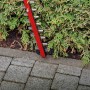 Einhell Akku-Heckenschere GE-CH 36/65 Li-Solo beim Heckenschnitt nah am Boden.