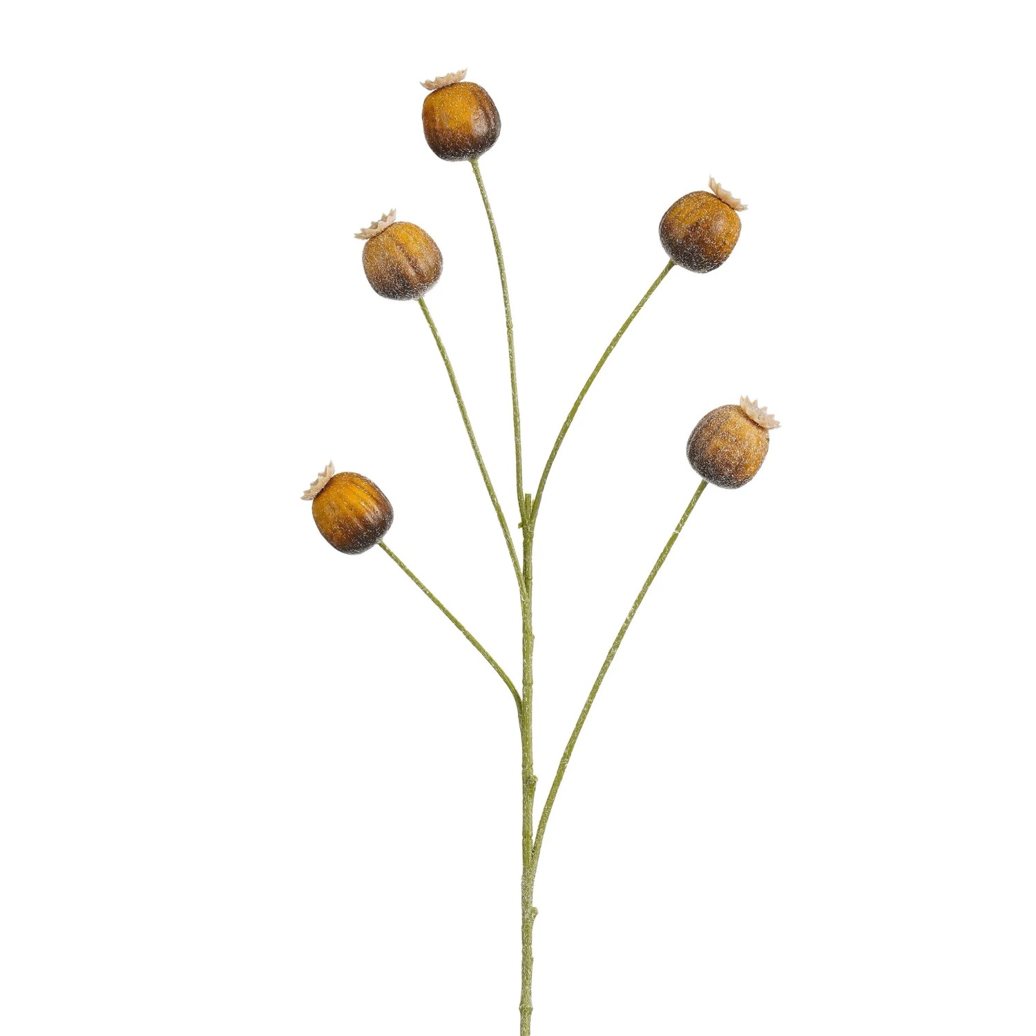 Mica Decorations Papaver-Zweig Braun 73 cm