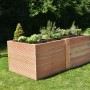Rechteckiges Hochbeet aus Douglasie (100x200x72,5cm) mit Bepflanzung im Garten.