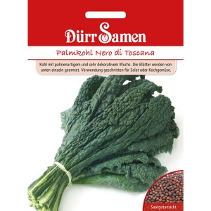 Dürr Samen Palmkohl Nero di Toscana Saatgut mit dunklem Blattgemüse.