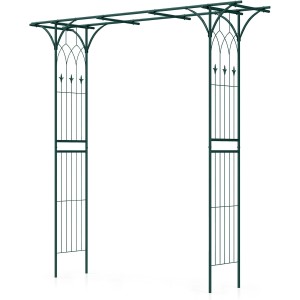 Grüner Costway Rosenbogen aus Metall mit Torbogen für den Garten, 205x52x205cm.