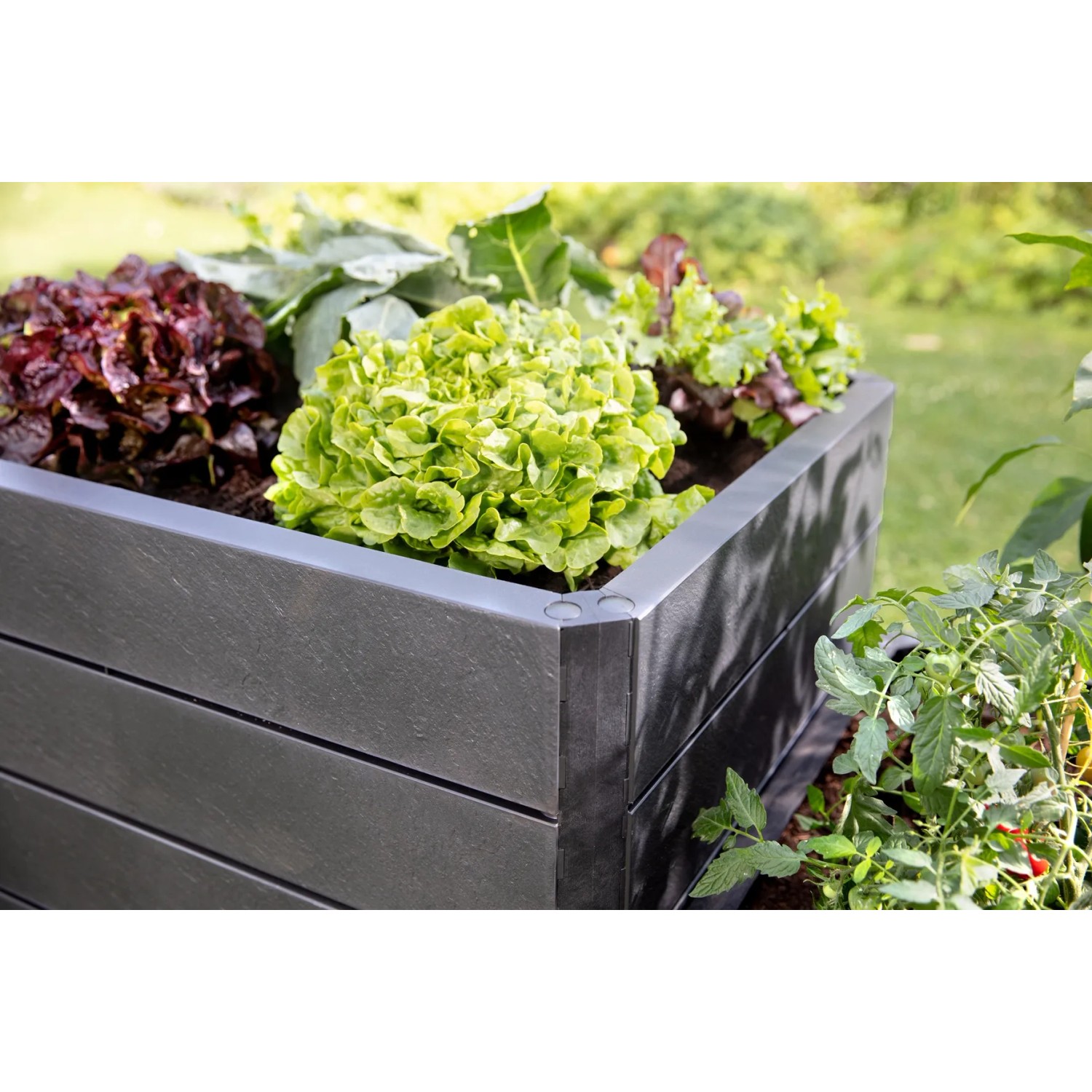 Garantia Hochbeet Ergo Quadro M 75 Stone mit Salat und Gemüse bepflanzt.