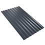 Weckman Trapezblech W20 in Anthrazit, 1500x1135x0,5 mm, für Dach und Carport.