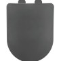 Wenko WC-Sitz Galati, Duroplast, Anthrazit, D-Form. Ultraflacher Toilettendeckel mit Absenkautomatik.