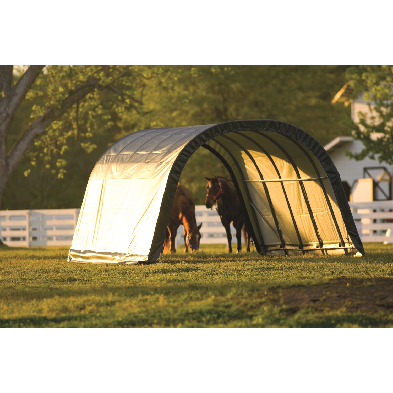 ShelterLogic Weidezelt 22,6 m² mit zwei Pferden im Inneren. Ordnungssystem für den Garten.