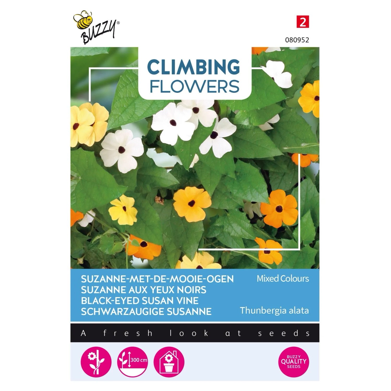 Thunbergia Mischung Buzzy Climbing Flowers Samen Ca. 0,5 g Kletterpflanze