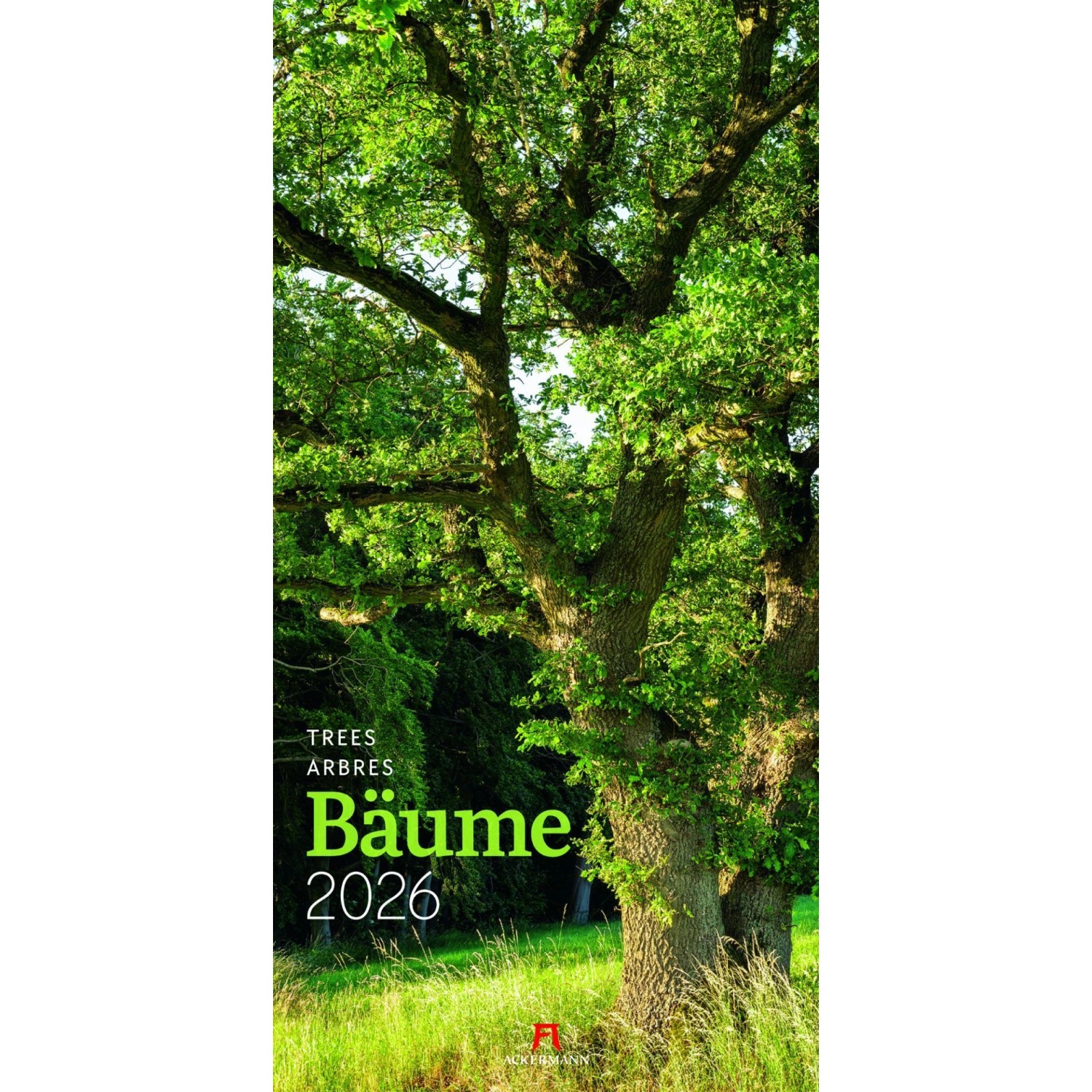 Bäume Kalender 2026 günstig online kaufen