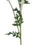Cremefarbene Flower Power Kunstblume Astilbe, 81 cm, für eine stilvolle Dekoration.