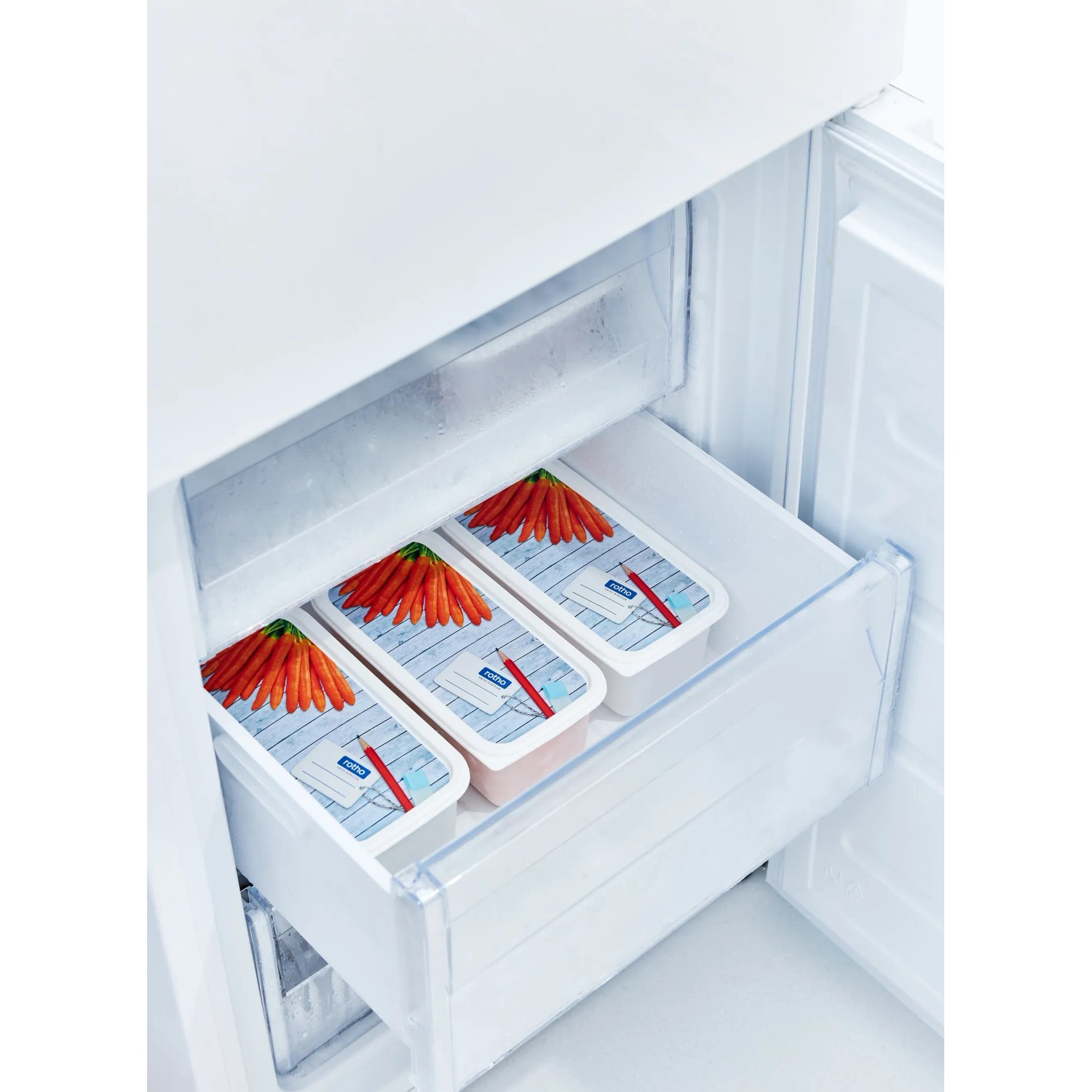 Rotho Gefrierdosen-Set Domino Karotten, 3 weiße Dosen im Gefrierschrank.