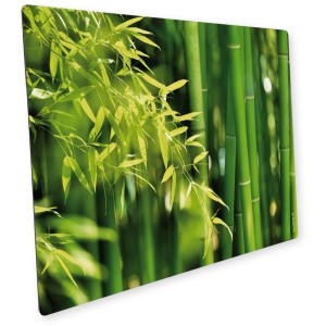 Myspotti Mini-Spritzschutzplatte Bambuswald, Küchenrückwand mit Bambus-Motiv.