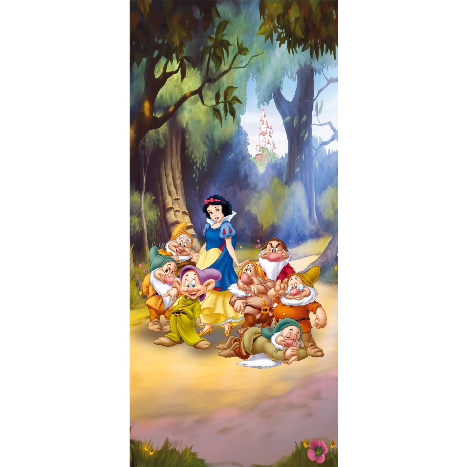 Disney Poster Schneewittchen Grün Gelb und Blau 90 x 202 cm 600748 günstig online kaufen