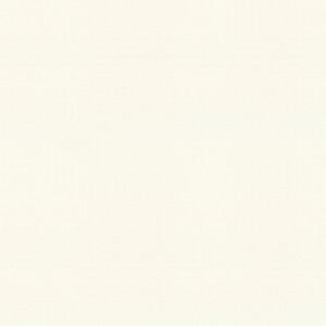 Helle, weiße Vliestapete zum Überstreichen, geeignet für Wohn- und Schlafzimmer.