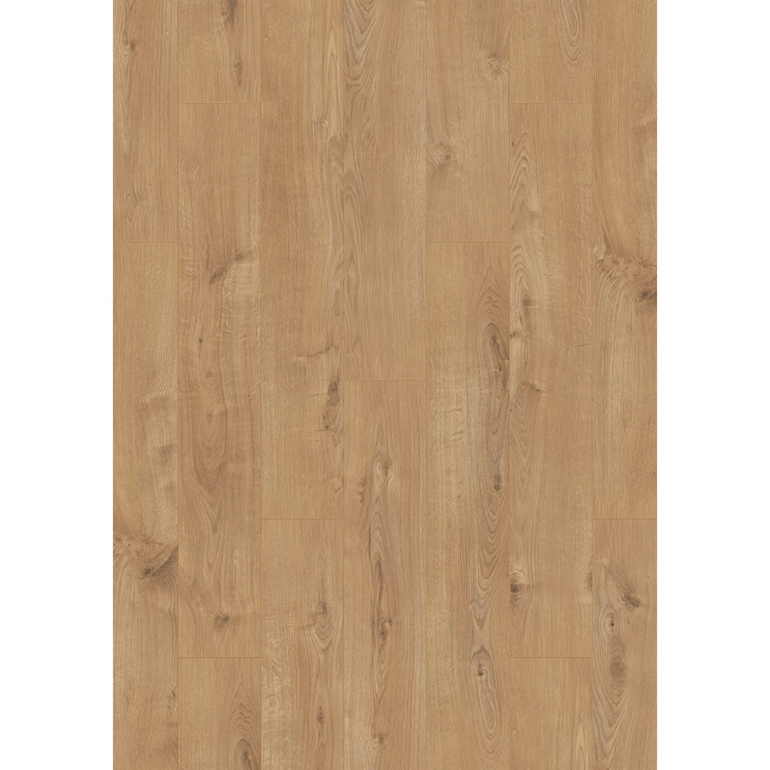 Heller Laminat Designboden in Landhausdielenoptik Eiche Major Oak für Wohn- und Gewerberäume.