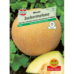 Sperli Zuckermelone Masada Samen, Galia-Typ, resistent und ertragreich.