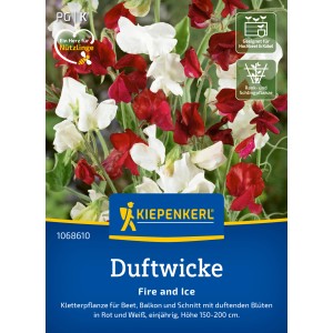 Kiepenkerl Duftwicke Fire and Ice: Blumensamen mit roten und weißen Blüten.