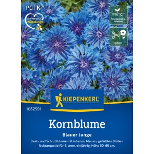 Kiepenkerl Saatgut Kornblume Blauer Junge
