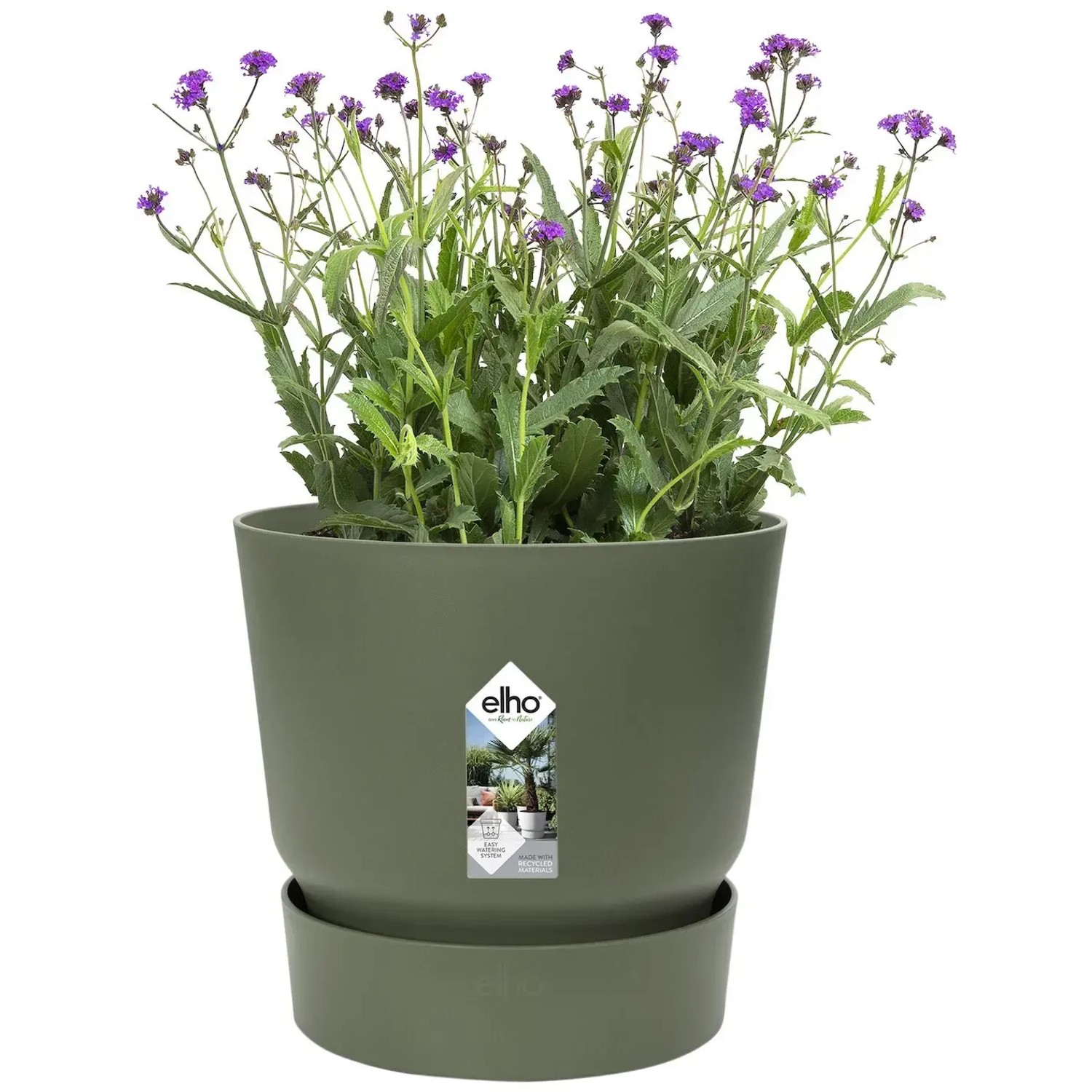 Elho Greenville Blumentopf, rund, 16 cm, laubgrün, mit Pflanze.