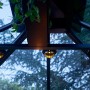 Juliana LED Solar Lampe, schwarz, für Gewächshäuser. Warmweißes Licht, montiert unter dem Dach.