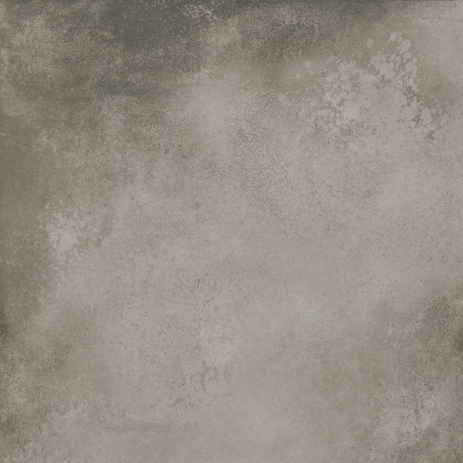 Bodenfliese Feinsteinzeug Colorvibe Grau 59,8 cm x 59,8 cm günstig online kaufen