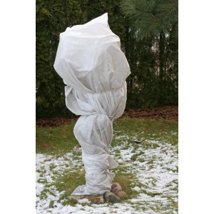 Eingepackte Pflanze mit Aquagart Winterschutzvlies 80g. Frostschutz für Pflanzen im Winter.