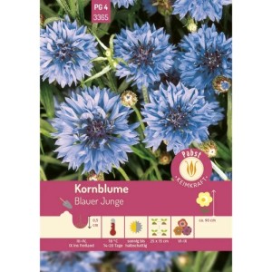 Pabst Keimkraft Kornblume Blauer Junge Saatgut