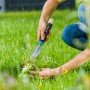 GARDENA EcoLine Unkrautstecher im Einsatz zum Entfernen von Unkraut im Garten.