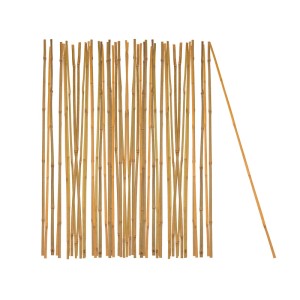 BigDean 50 Stück Pflanzstab Bambusstab 105cm Lang 8mm bis 10mm Stark Rankhilfe Pflanzstab Tonkinstab Naturprodukt Pflanzstäbe Bambusstäbe Bambusstange