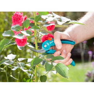 Hand schneidet Rose mit Gardena Gartenschere B/S-M. Bypass-Schere mit Antihaftbeschichtung.