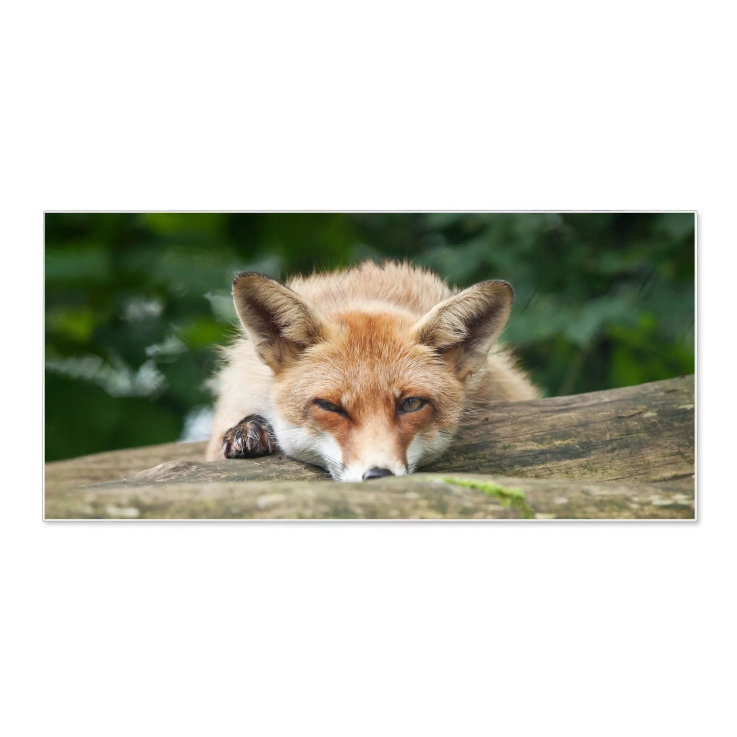 Banjado Magnettafel 78x37cm Magnetwand  Weiß Aus Metall Magnetpinnwand Pinn günstig online kaufen