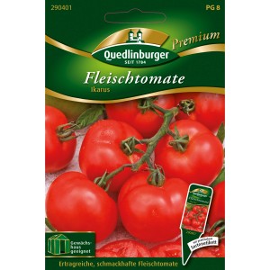 Samenpackung Quedlinburger Fleisch-Tomate Ikarus mit roten, reifen Tomaten.