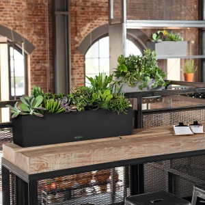 Lechuza Balconera Stone 80, graphitschwarzer Blumenkasten mit Bepflanzung.