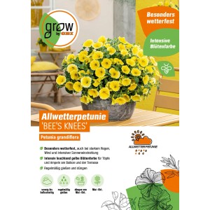 Gelbe Hängepetunie Bee's Knees im Topf, eine farbenfrohe Ampelpflanze von GROW by OBI.