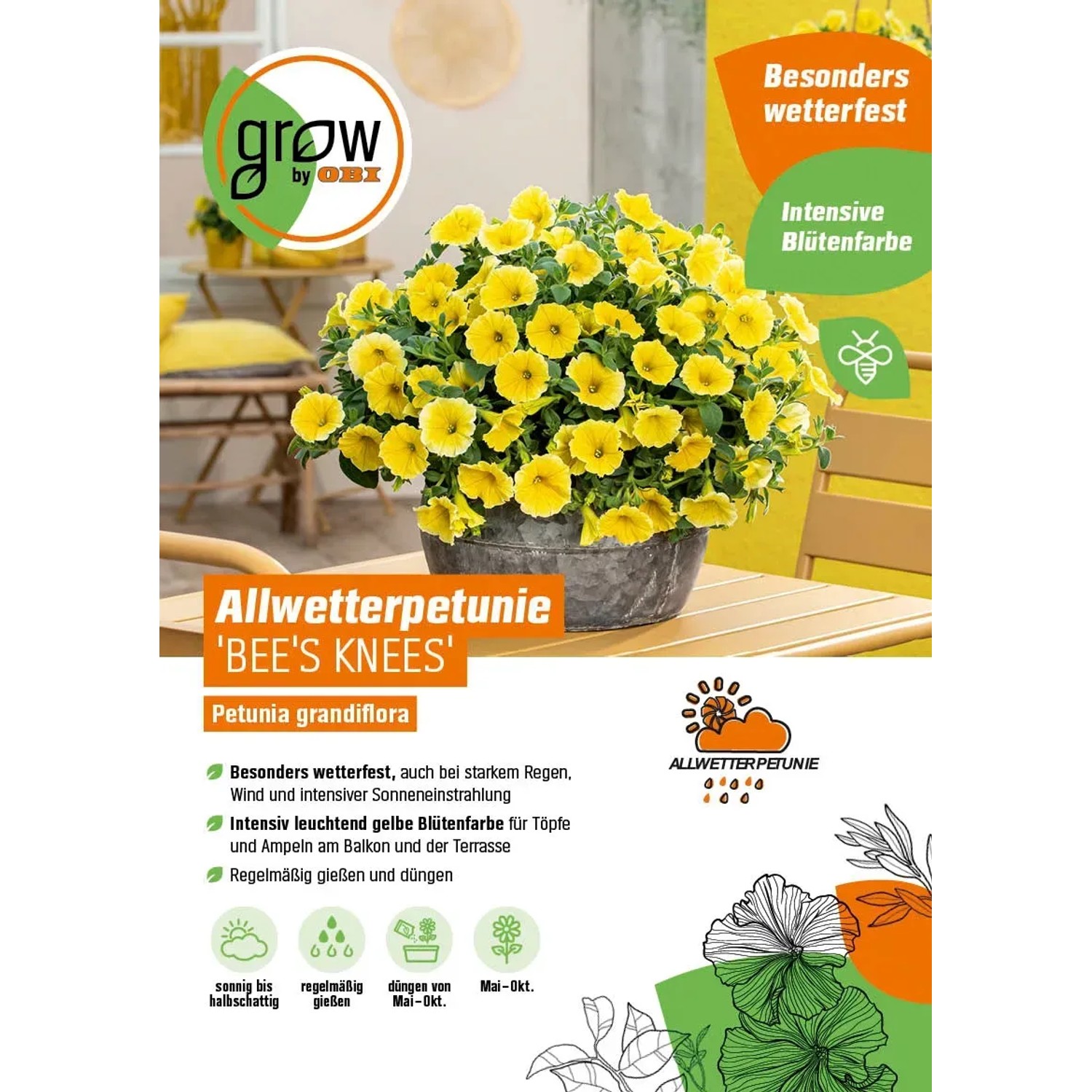 Gelbe Hängepetunie Bee's Knees im Topf, eine farbenfrohe Ampelpflanze von GROW by OBI.