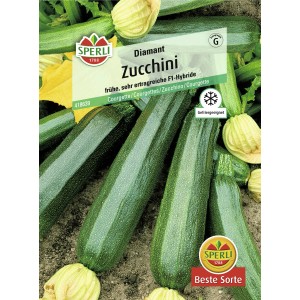Samenpackung Sperli Zucchini Diamant F1-Hybride, mittelgrüne Zucchini und gelbe Blüte.